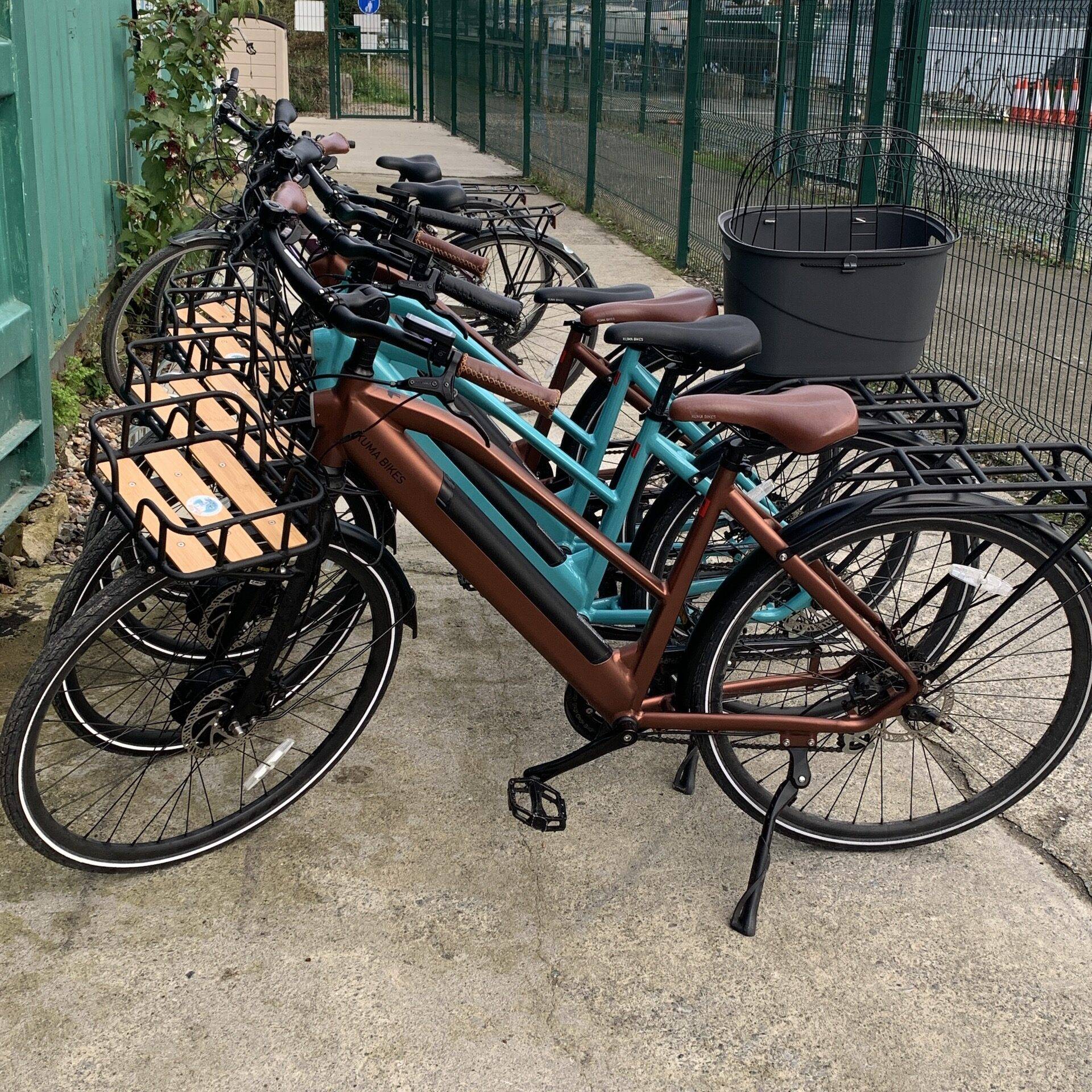 On-yer-BIke-Carlingford-Greenway-Bicycle-Hiring-Rental-59-min